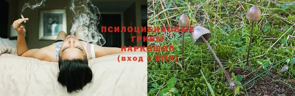 соль курить ск Алексеевка