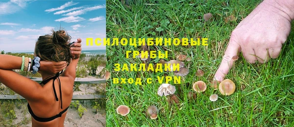 круглые Алзамай