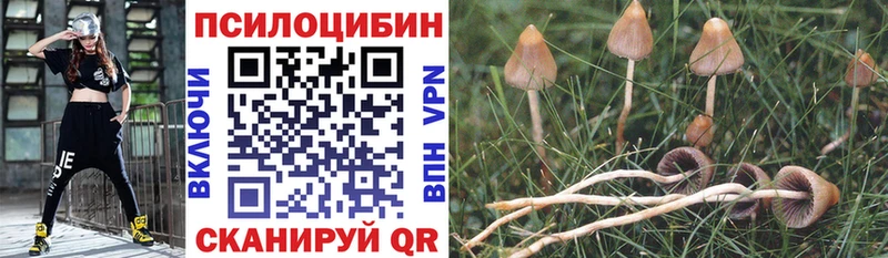 Псилоцибиновые грибы Psilocybe  где купить наркотик  kraken ONION  Ижевск 